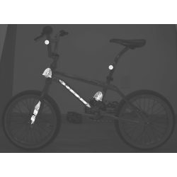 Gary Turner custom chrome 16" .jpg