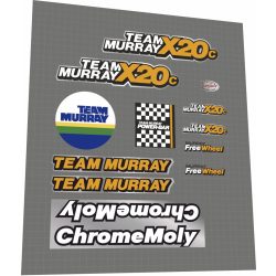 1982 Team Murry X20C chrome