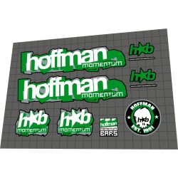 2001 Hoffman Momentum custom green