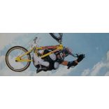 Haro Chevron logo gold red 75mm "1996 Dave Mirra Yellow Haro Blammo"