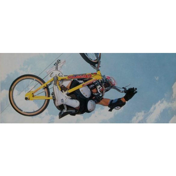 Haro Chevron logo gold red 75mm "1996 Dave Mirra Yellow Haro Blammo"