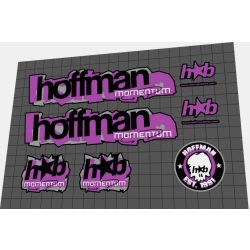 2001 Hoffman Momentum custom purple