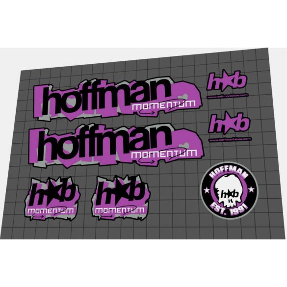 2001 Hoffman Momentum custom purple