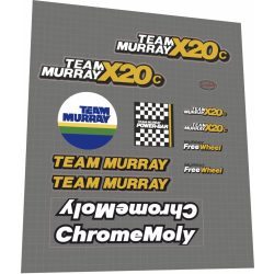 1982 Team Murry X20C clear