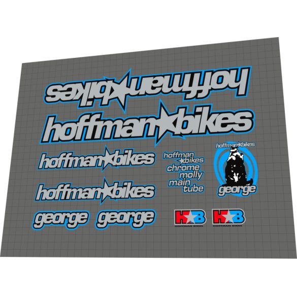 1999 Hoffman George